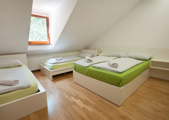 Sincere 1830 Ljubljana